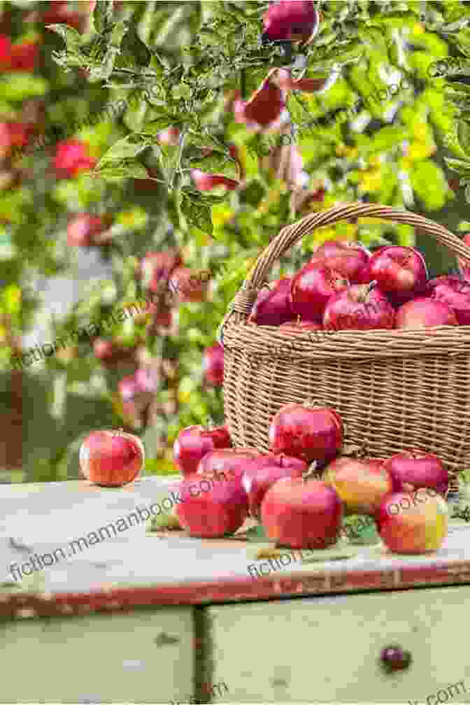 A Basket Brimming With Fresh, Ripe Apples Red Kites Apples And Blood Cells: Imaginative Relaxations For Lively Kids