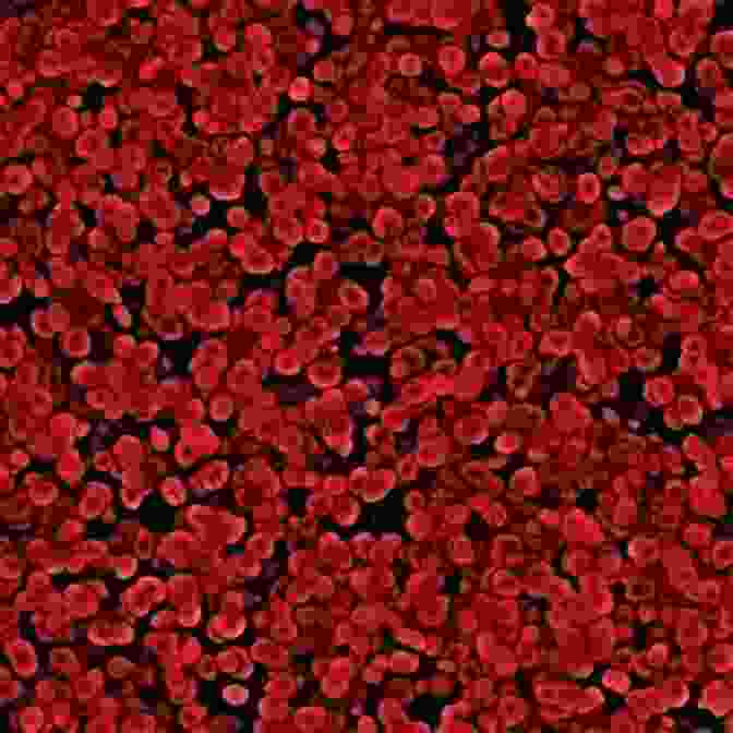 A Microscopic View Of Red Blood Cells Coursing Through A Blood Vessel Red Kites Apples And Blood Cells: Imaginative Relaxations For Lively Kids