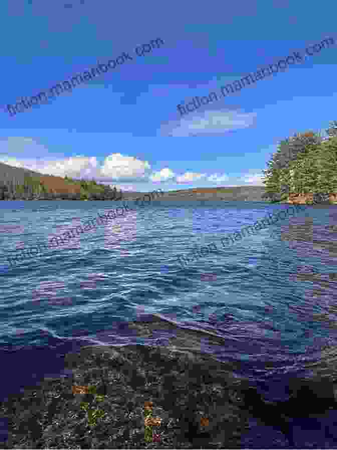 A Scenic View Of The Quabbin Reservoir, A Vital Water Source For The City Of Boston. The Road To Dana: Gate 40 (The Quabbin Valley Chronicles 1)