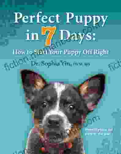 Perfect Puppy In 7 Days: How To Start Your Puppy Off Right